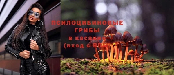 бутират Кулебаки