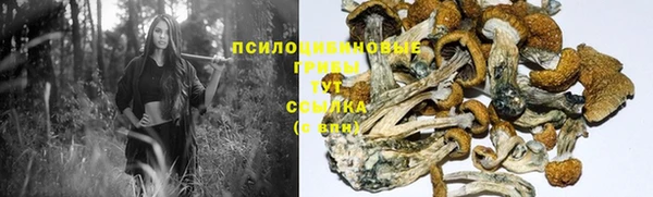 стафф Куйбышев
